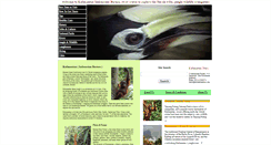 Desktop Screenshot of kalimantantours.com