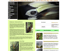 Tablet Screenshot of kalimantantours.com